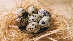 Huevos comestibles que no son de gallina