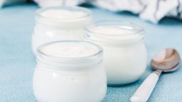 Yogur normal y sin lactosa