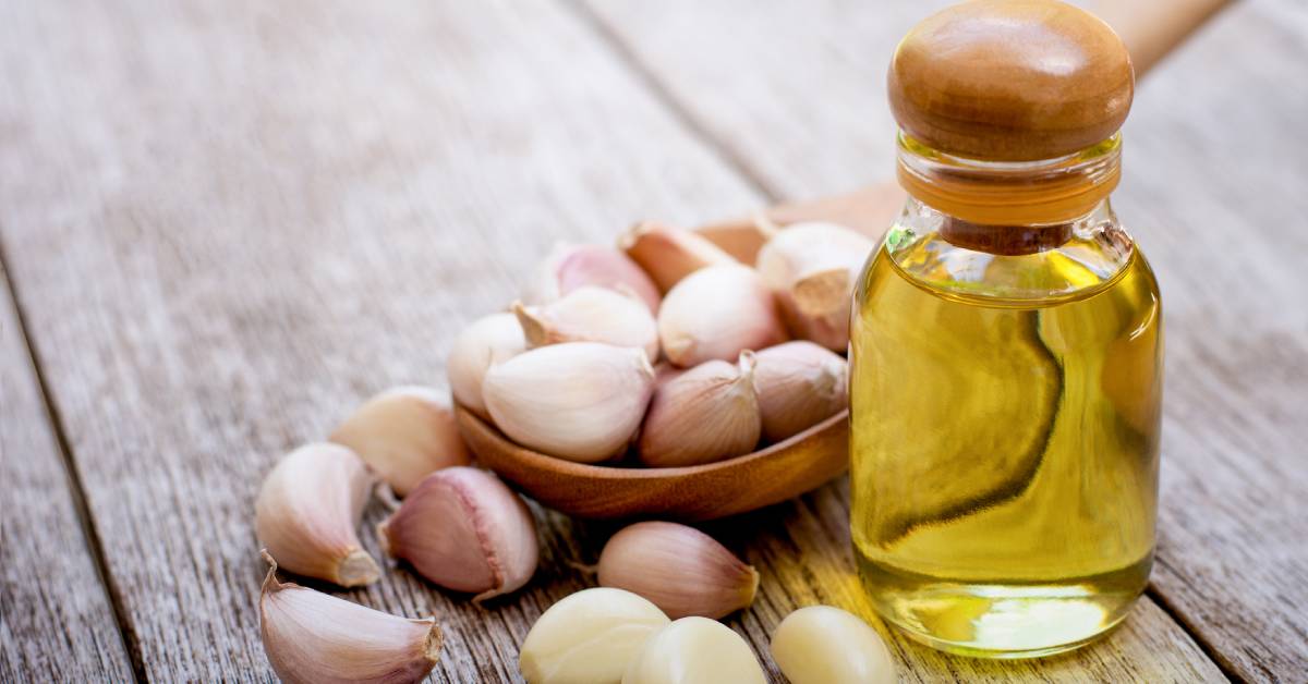 El motivo por el que debes empezar a sofreír el ajo en el aceite frío