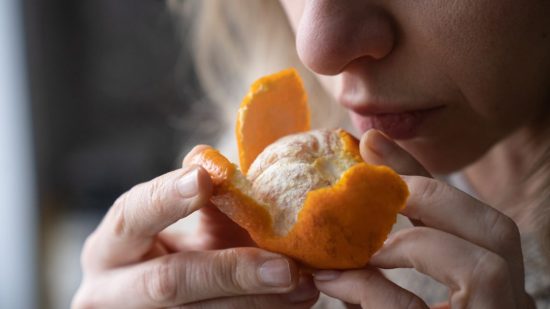 Mal olor en los alimentos