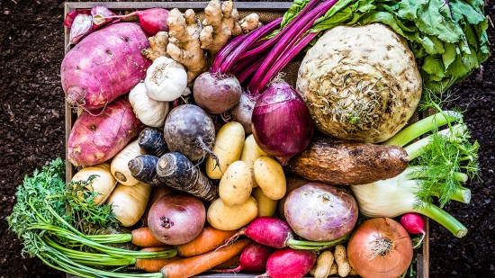 Tubérculos y raíces