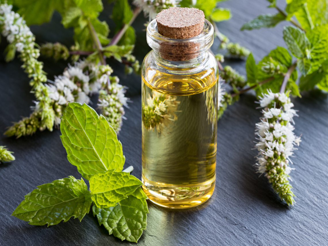 Aceite de menta