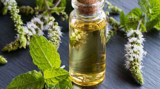 Aceite de menta