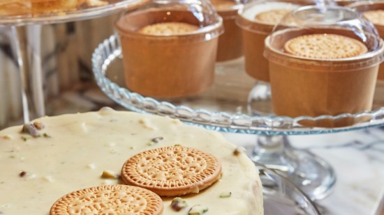 El perro y la galleta (9)