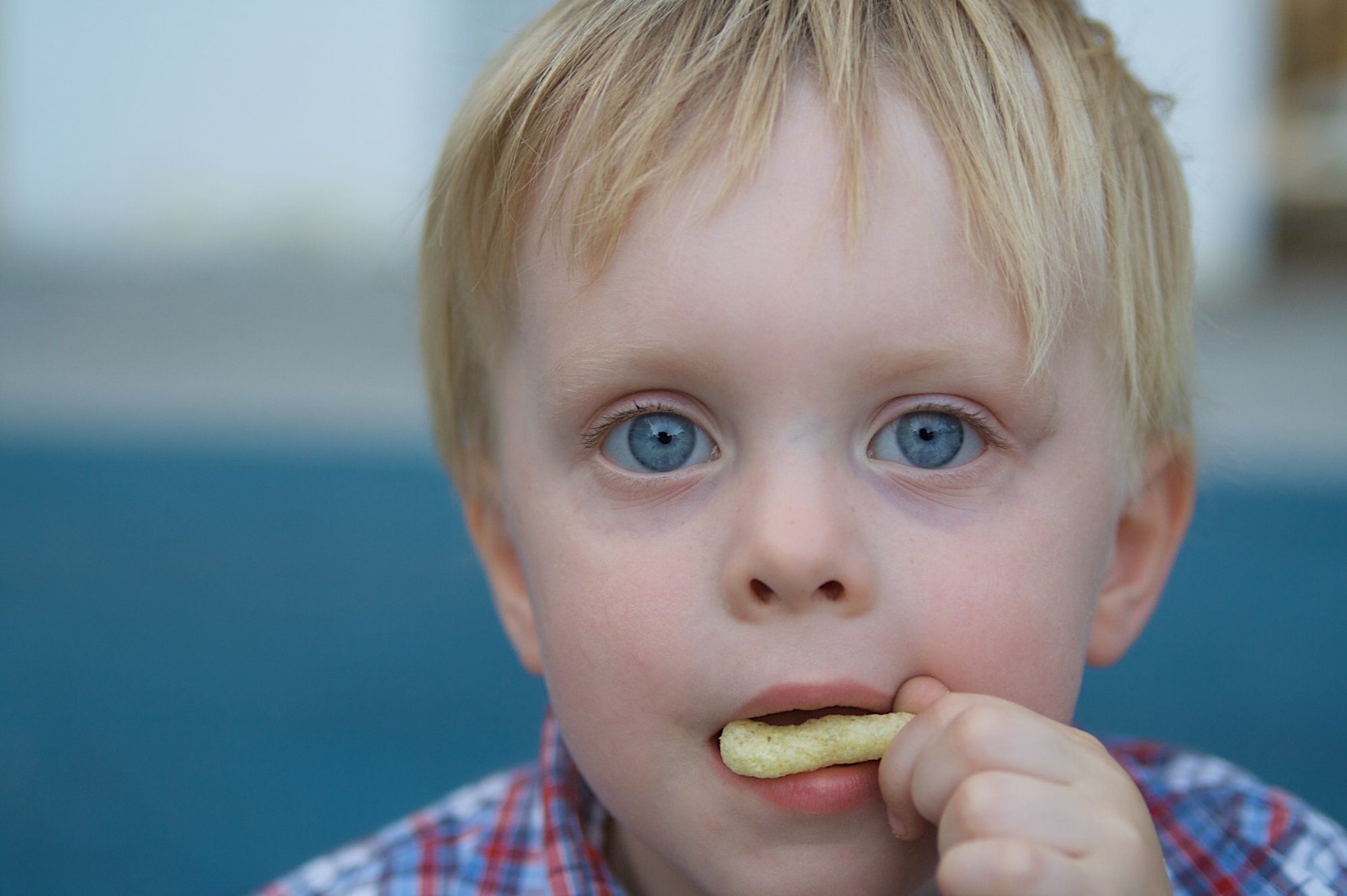 Los "gusanitos" son saludables