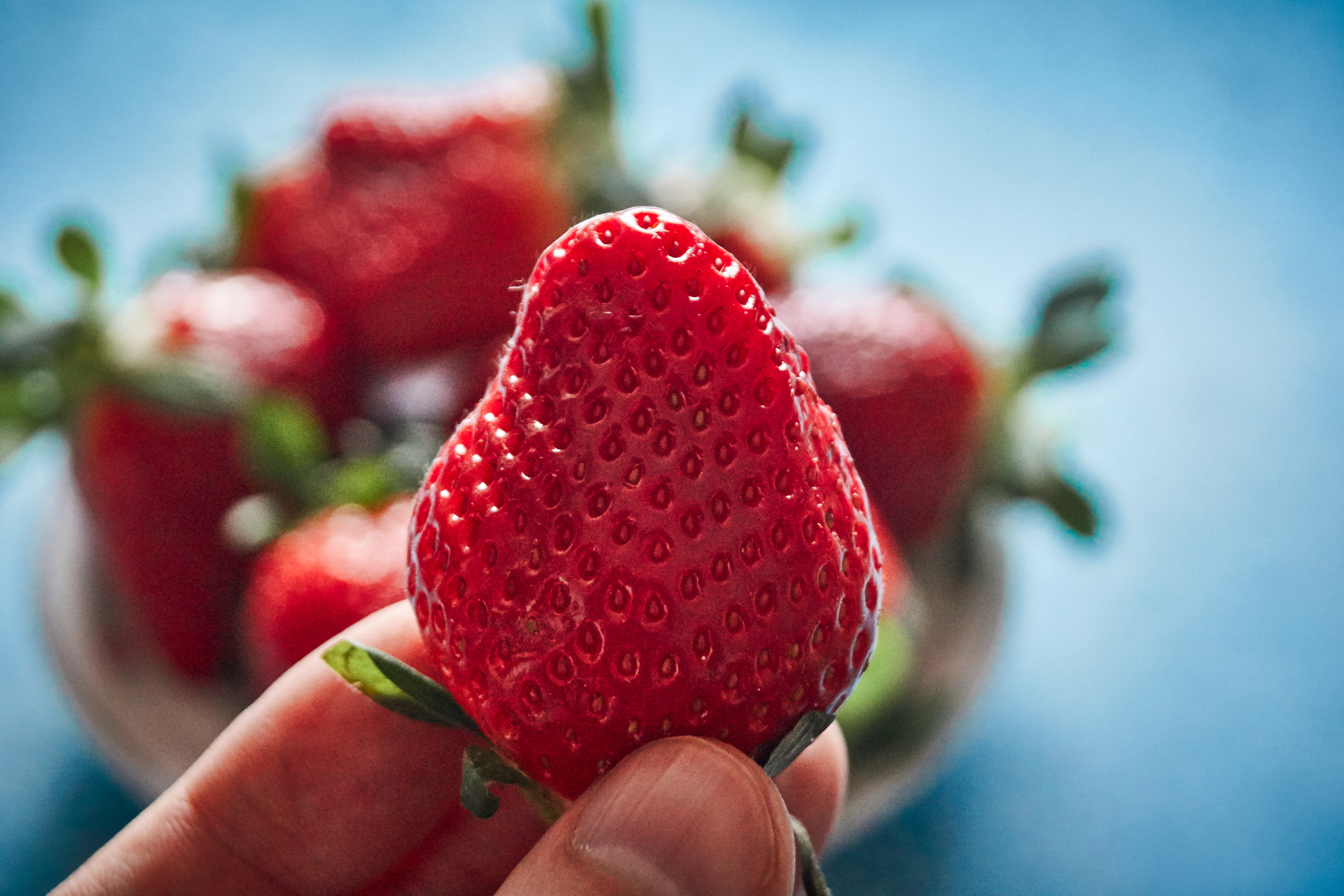 ¿Es verdad que las fresas contienen insectos en su interior?