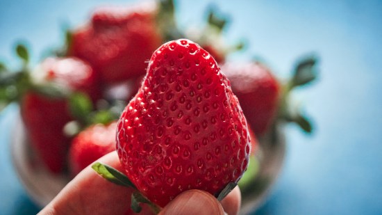 ¿Es verdad que las fresas contienen insectos en su interior?