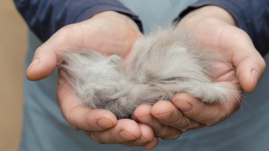 Existe un producto que elimina de la ropa los restos de pelo de nuestras mascotas sin esfuerzo