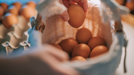 ¿Son mejores los huevos de gallinas caseras que los comerciales?