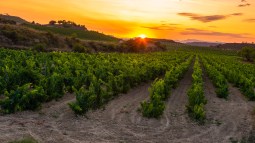 World’s Best Vineyards: Estas cuatro bodegas españolas se encuentran en el top mundial