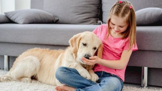 af8e5cb781bfcb7fe20f8d902bf8d150