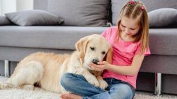 af8e5cb781bfcb7fe20f8d902bf8d150