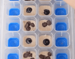 Cubitera con masa de tortitas