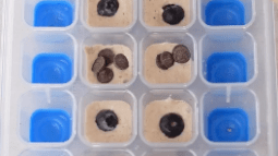 Cubitera con masa de tortitas