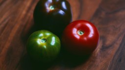 tomates azules o morados