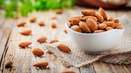 shutterstock_1024212172