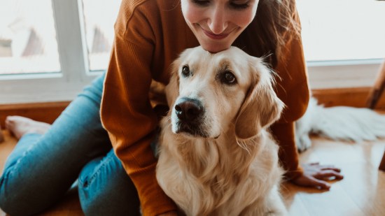 ‘Dueño feliz, perro feliz’, el libro de Alexandra Wischall-Wagner