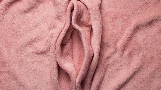 shutterstock_1230101974