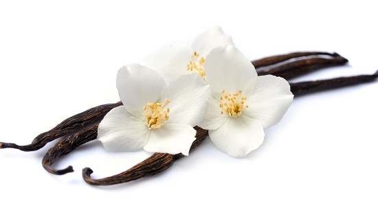 shutterstock_507067915