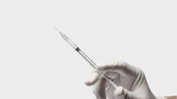 shutterstock_2020865903