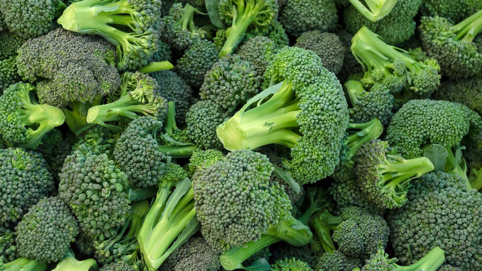 Los 10 principales beneficios del brócoli para la salud
