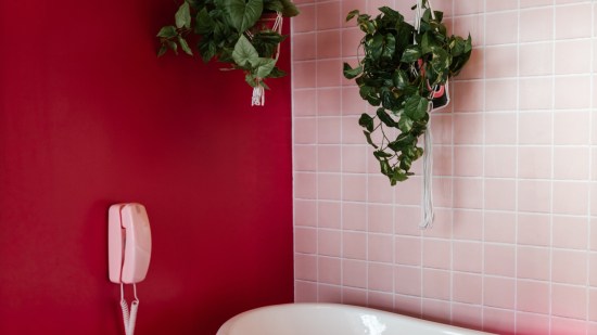 pexels-rdne-stock-project-12405344