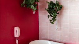 pexels-rdne-stock-project-12405344