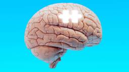 gettyimages-1279693289-612x612