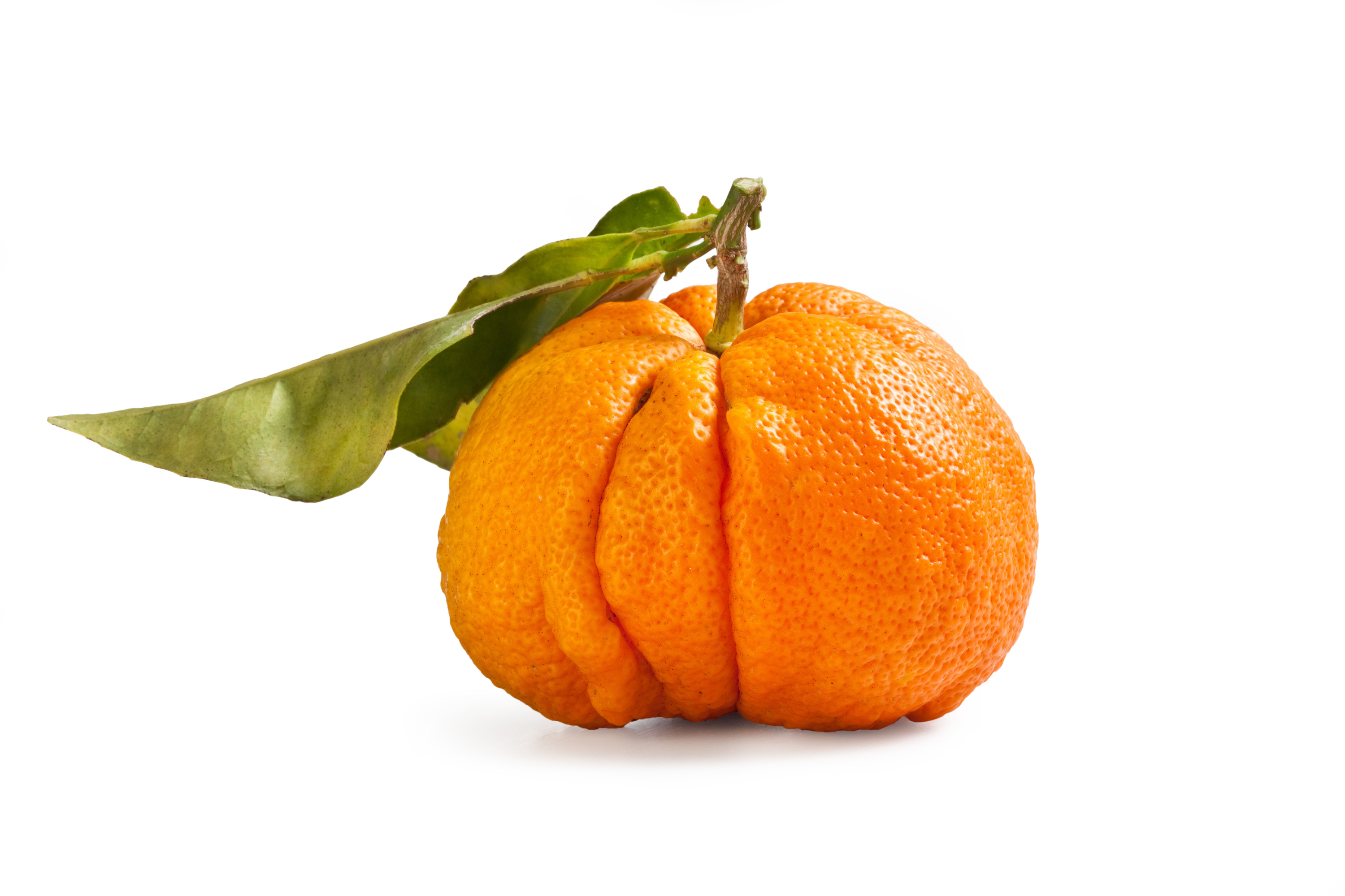 shutterstock_1787441330