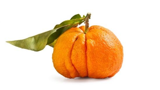 shutterstock_1787441330