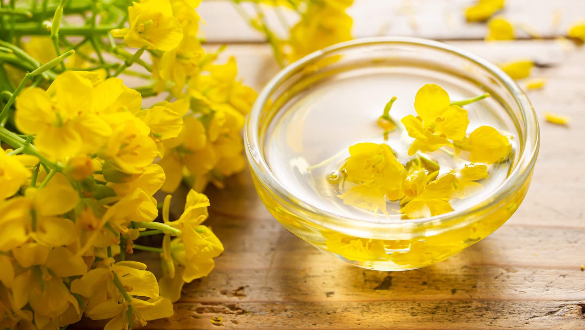 Aceite de nabina: qué es, dónde se encuentra y cuáles son sus beneficios para la salud