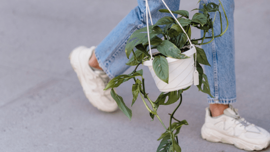 El Corte Inglés se adelanta al Black Friday y rebaja las zapatillas Giossepo que no paran de llevar las mujeres +50 porque son cómodas y pegan con todo