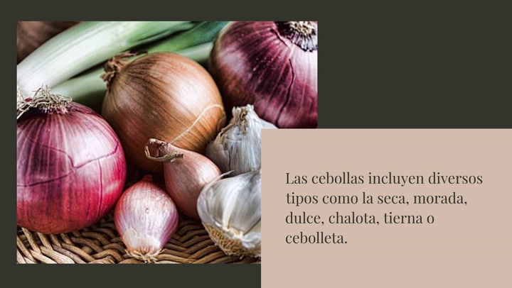 Diferencias entre cebolla, cebolla dulce, cebolla morada y cebolleta