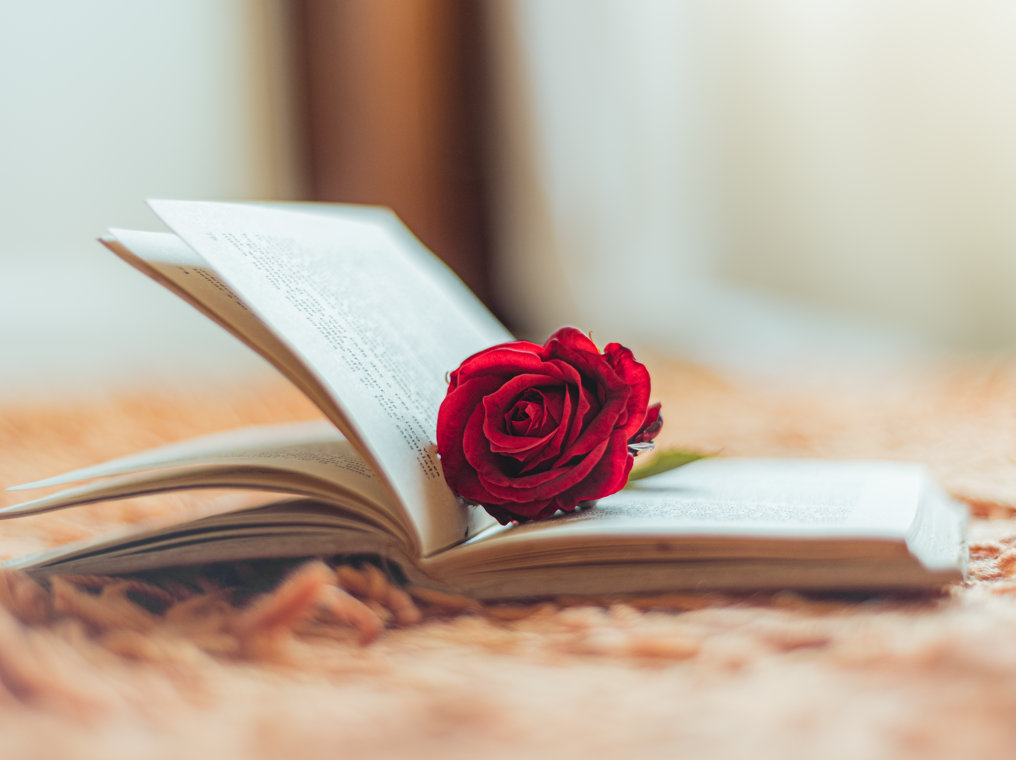 Mejores novelas romanticas