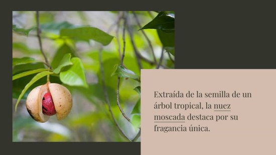 Nuez moscada: ideas para utilizarla en la cocina