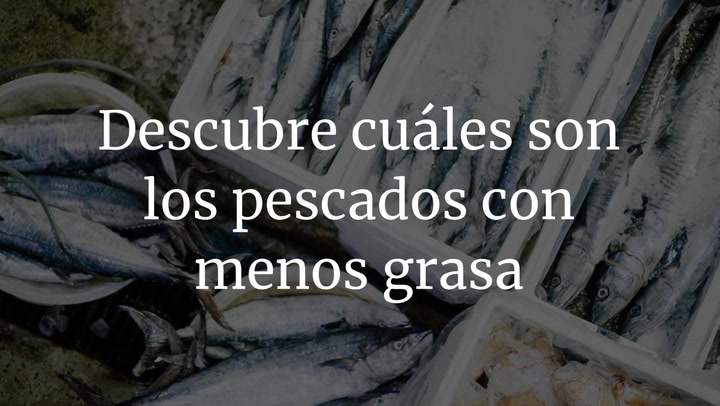 Descubre cuáles son los pescados con menos grasa