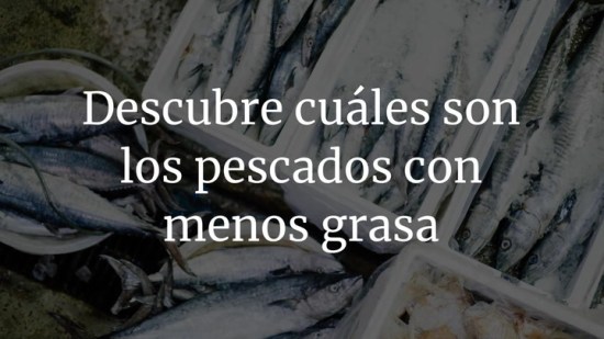 Descubre cuáles son los pescados con menos grasa