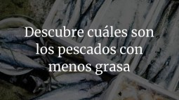 Descubre cuáles son los pescados con menos grasa