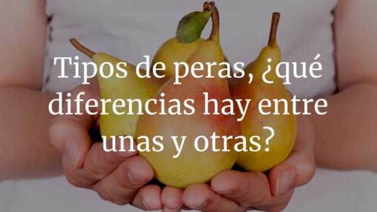 Tipos de peras, ¿qué diferencias hay entre unas y otras?