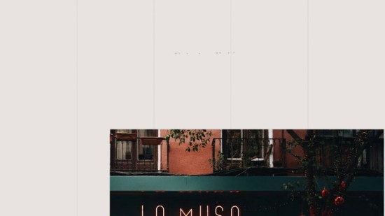 Cómo cocinar un ganso paso a paso