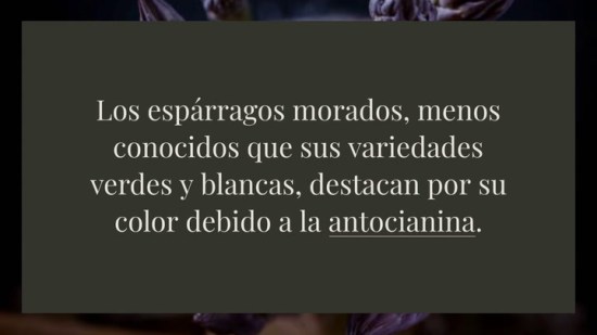 Todo lo que tienes que saber sobre el espárrago morado