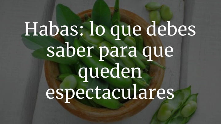 Habas: todos lo que debes saber para que queden espectaculares