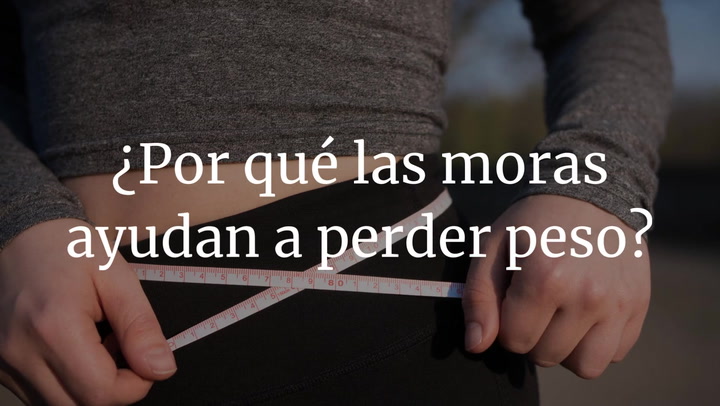 ¿Por qué las moras ayudan a perder peso?