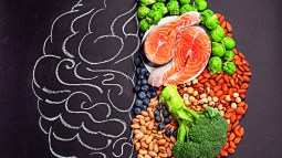 Alimentación y cerebro