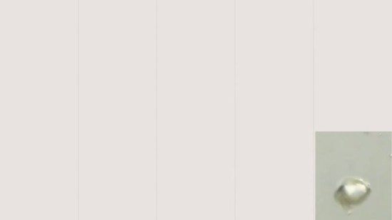 Mini Tortillas De At N Y Patata