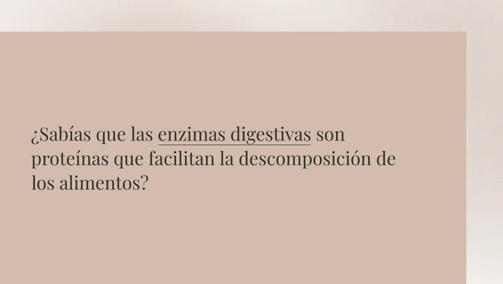 Suplementos De Enzimas Digestivas Qu Son