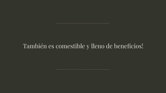 Recetas Que Puedes Preparar Con Aloe Ver