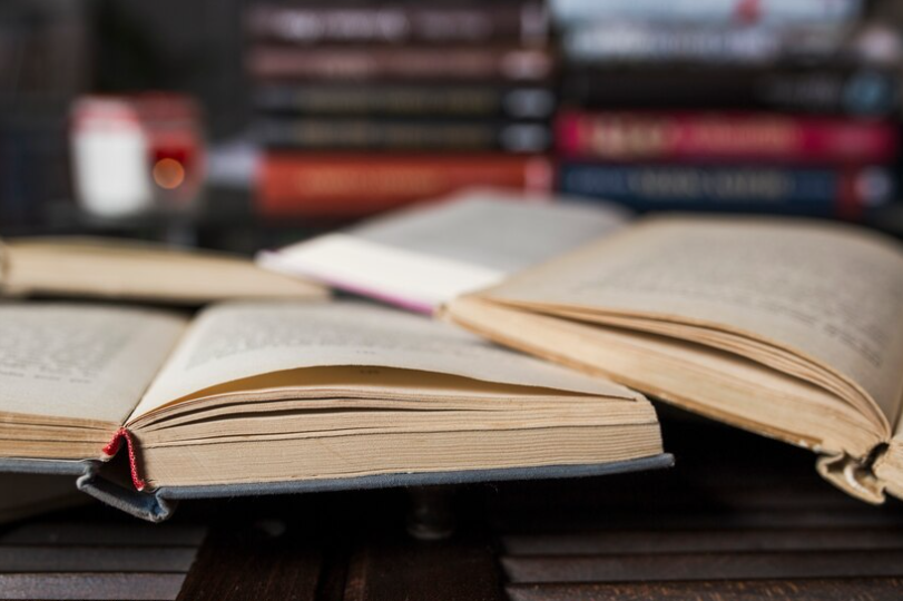 Novelas literarias enero 2024