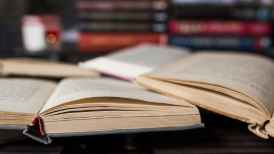 Novelas literarias enero 2024