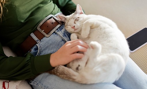 gettyimages-1796535980-170667a